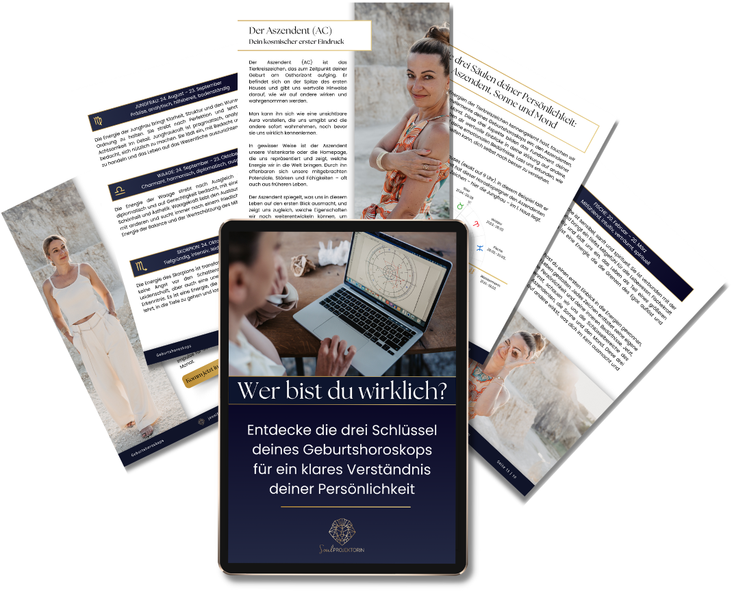 Mepapillibre Vivien Beck unwiderstehlichen PDF-Lead-Magneten in nur einem Tag